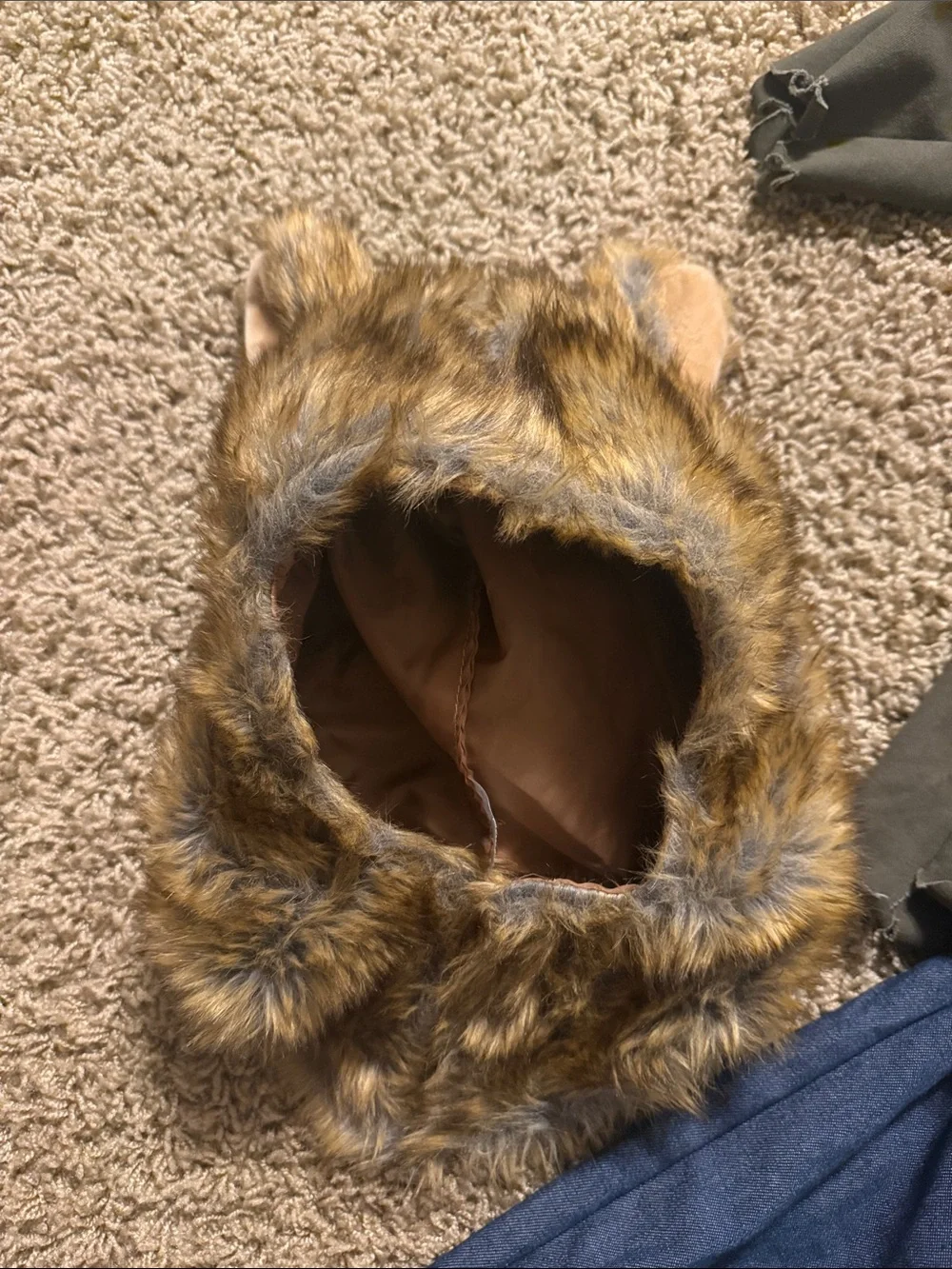 Pottery Barn Werewolf Halloween Costume Size 4-6 - Picture 4 of 7